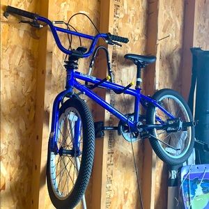 mongoose child blue bike